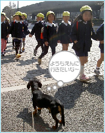 幼稚園コースは朝から夕方までの通園式しつけトレーニング